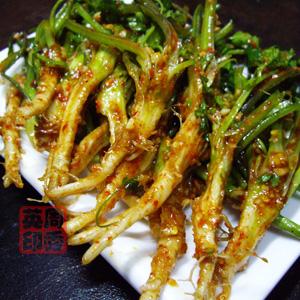 凉拌香菜根的做法(凉拌香菜)